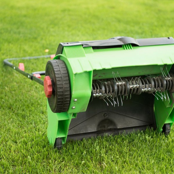 Bahçe Bakım ve Peyzaj