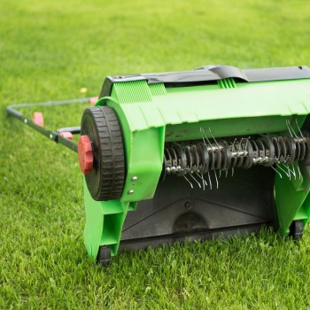 Bahçe Bakım ve Peyzaj